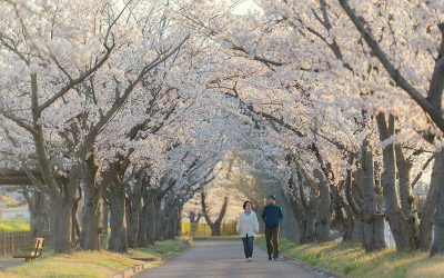 How to Boost Your Immunity with Tree Qigong