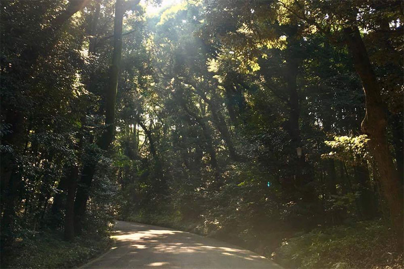 Energy Healing: Unlocking Your Inner Potential