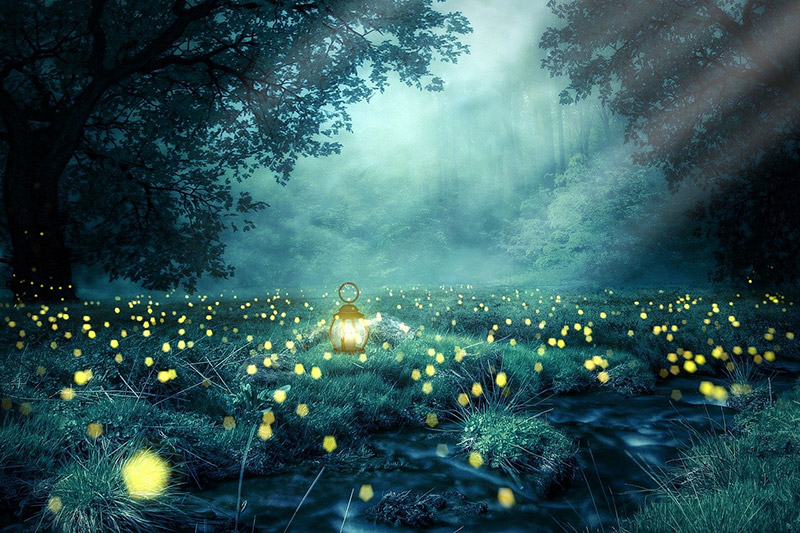become an energy healer workshop